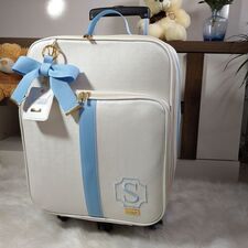 Mala Maternidade Média no Campo Elíseos